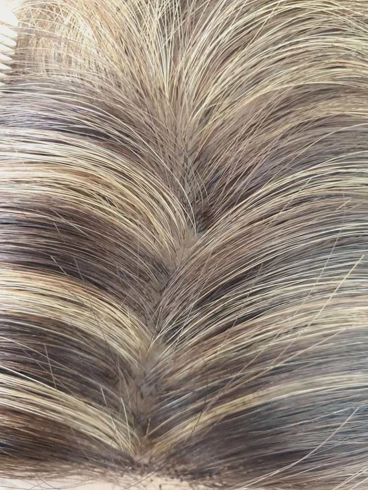 20230616_123836.jpg
